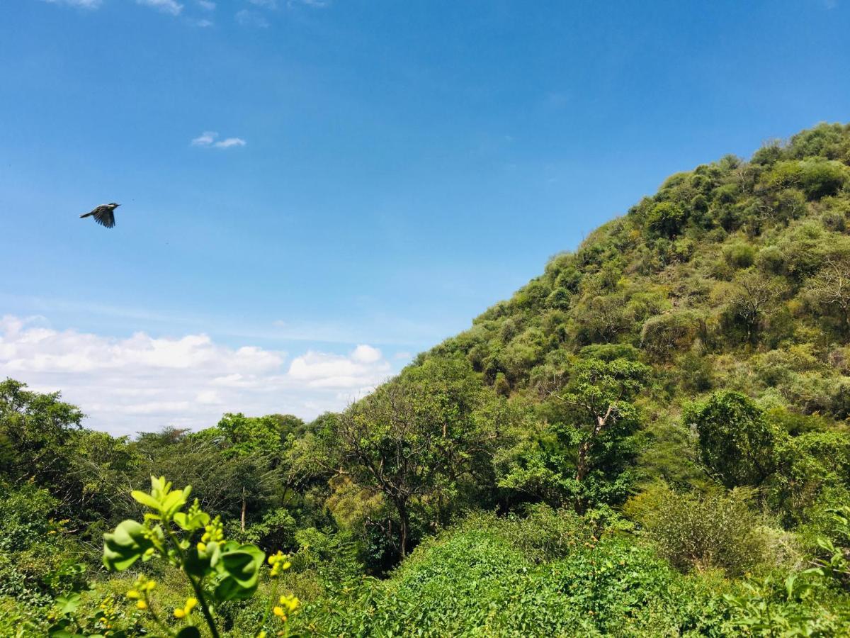 Ava Garden Backpackers Homestay