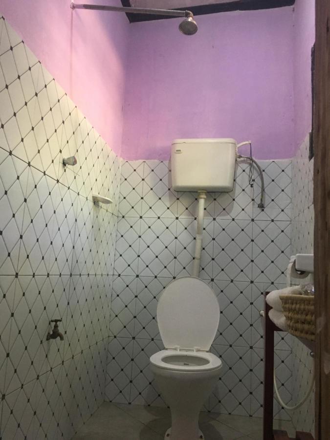 Homestay Ava Garden Backpackers