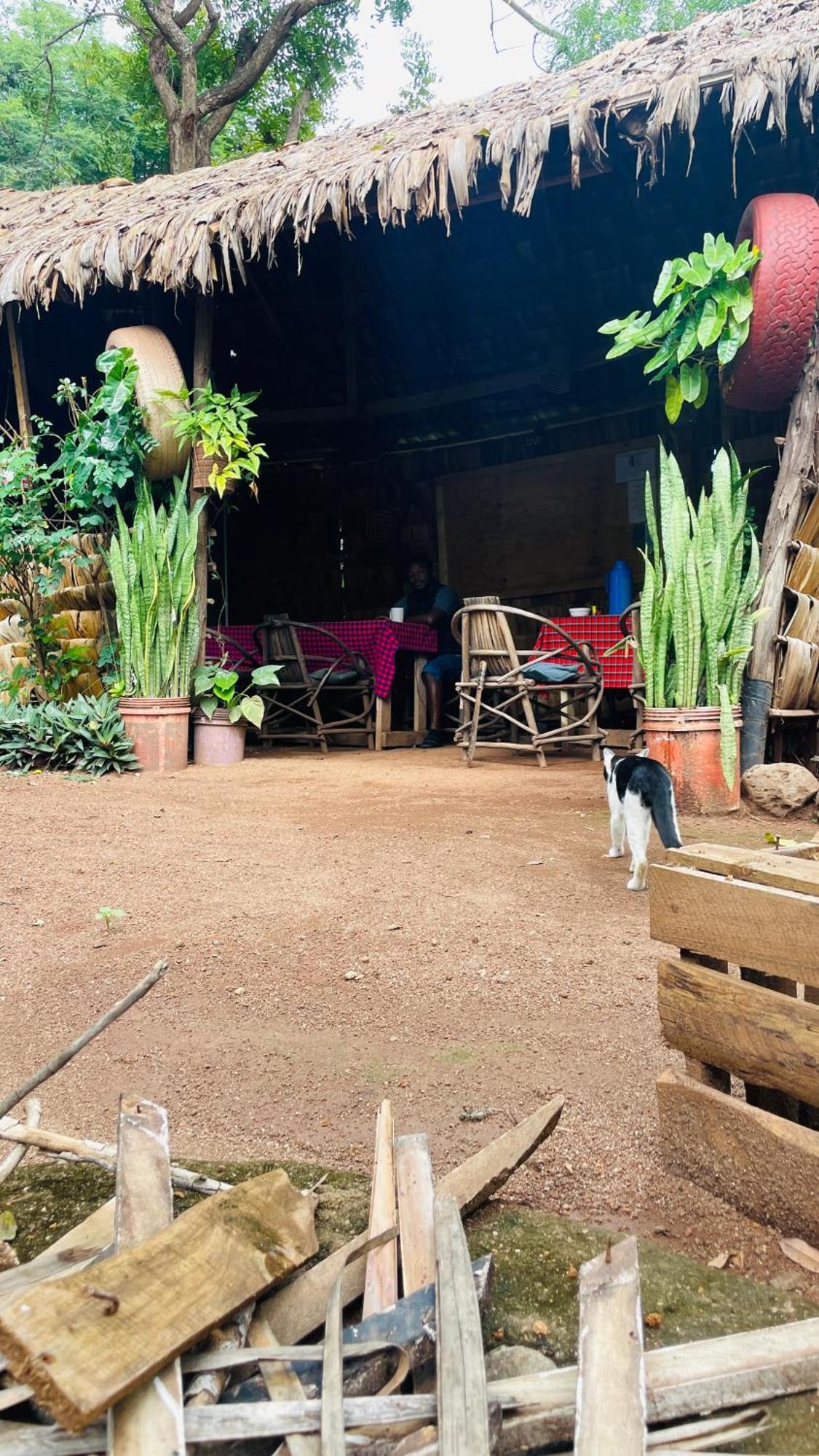 Ava Garden Backpackers Homestay Mto wa Mbu